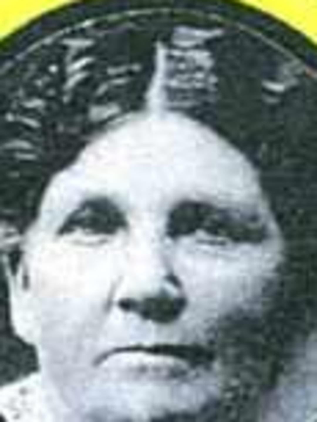 Caroline Elizabeth Jarvis (1849 - 1930) Profile